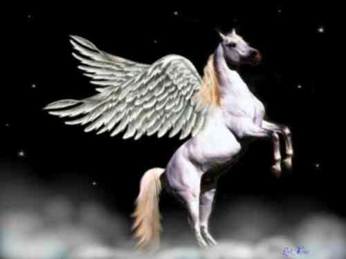 PEGASO