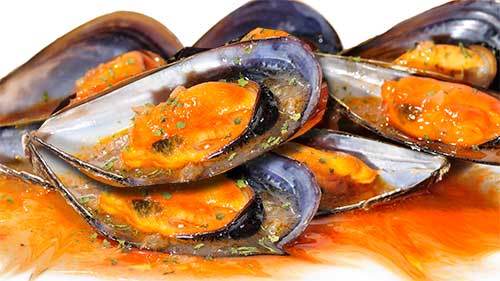 MEJILLONES